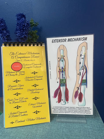 The Extensor Mechanism Booklet & pictorial display