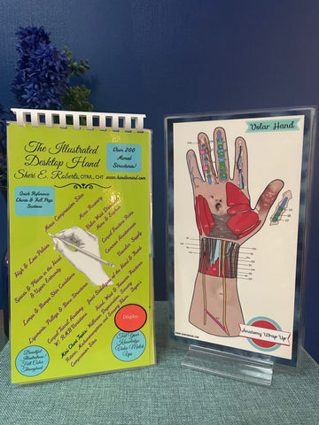 Illustrated Desktop Hand Book W/Pictorial Display