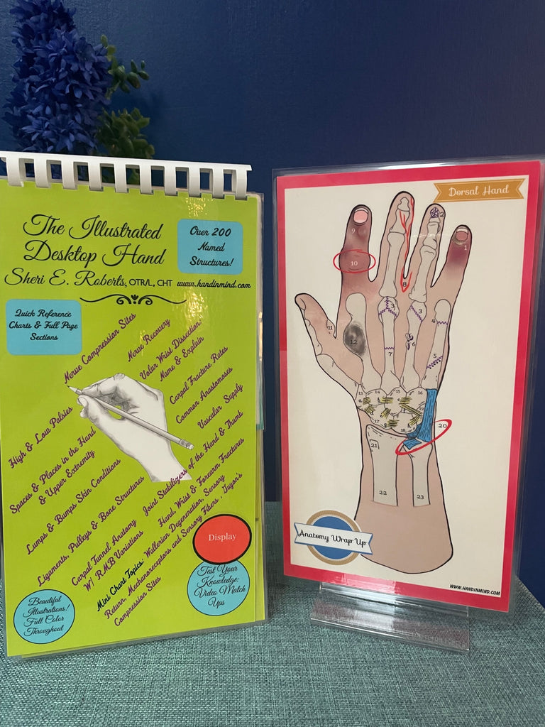 Hand Table Edition Illustrated Desktop Hand Book W/Pictorial Display - Hand in Mind