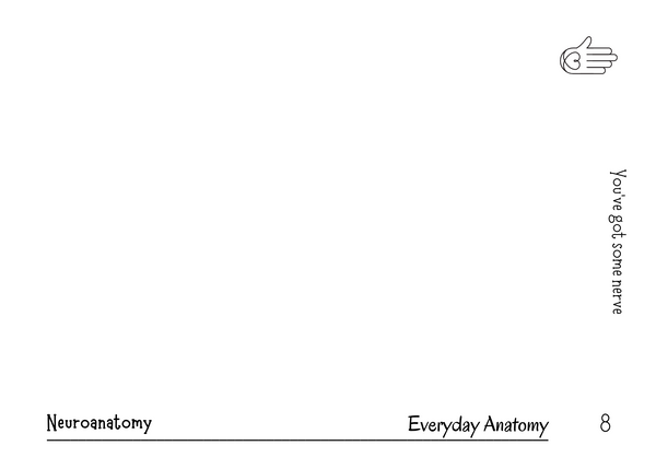 Study for the CHT easy as 1, 2, 3,  with a study stack system!
