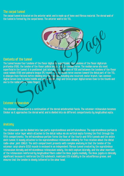 The Forearm Connector Kit