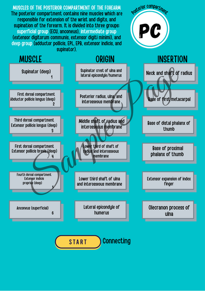 The Forearm Connector Kit