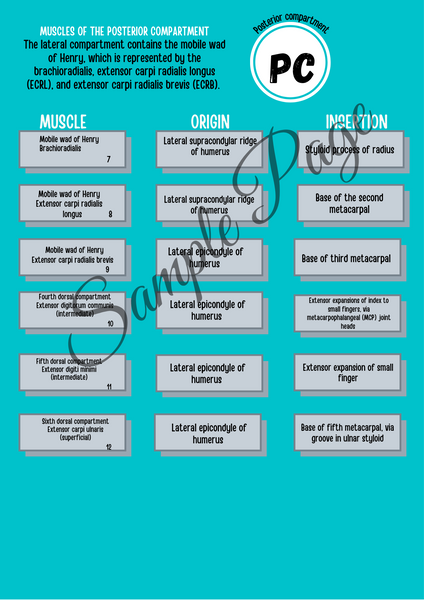 The Forearm Connector Kit