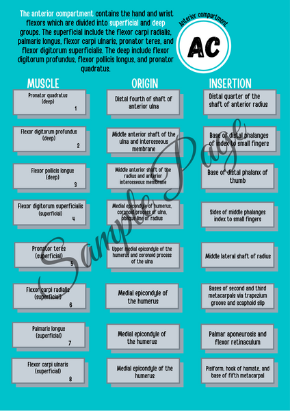 The Forearm Connector Kit