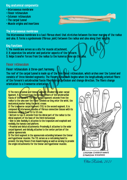 The Forearm Connector Kit