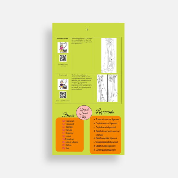 Illustrated Desktop Hand Book W/Pictorial Display
