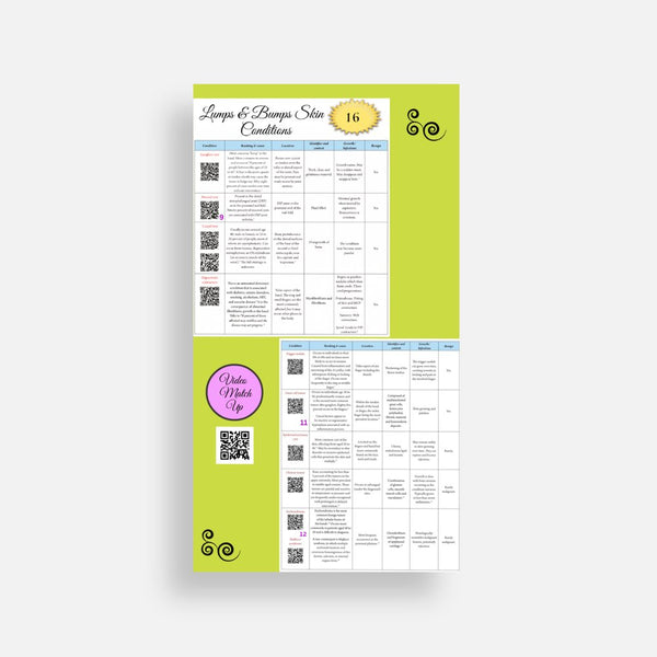 Illustrated Desktop Hand Book W/Pictorial Display
