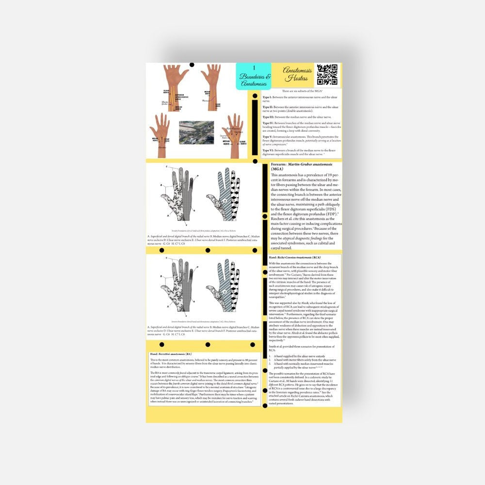 Mind Control Hand HAND THERAPY Education - Hand in Mind