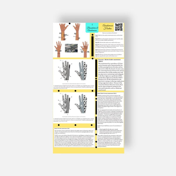 Illustrated Desktop Hand Book W/Pictorial Display