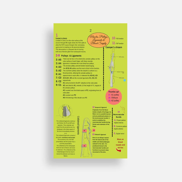 Illustrated Desktop Hand Book W/Pictorial Display