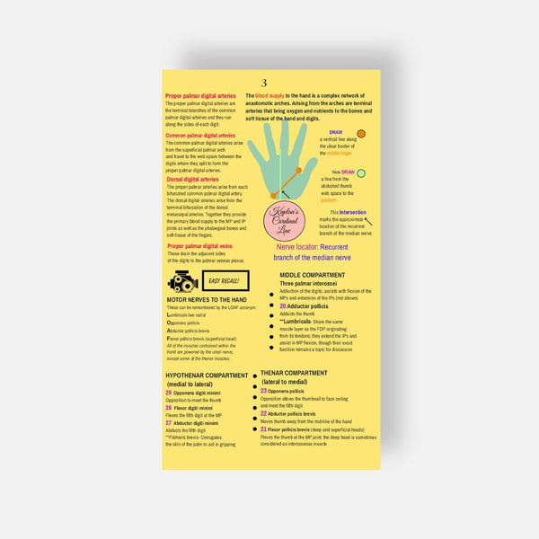 Illustrated Desktop Hand Book W/Pictorial Display