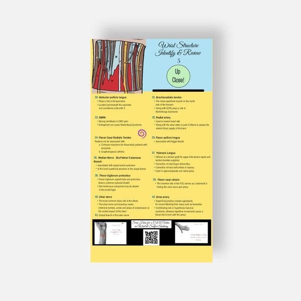 Illustrated Desktop Hand Book W/Pictorial Display