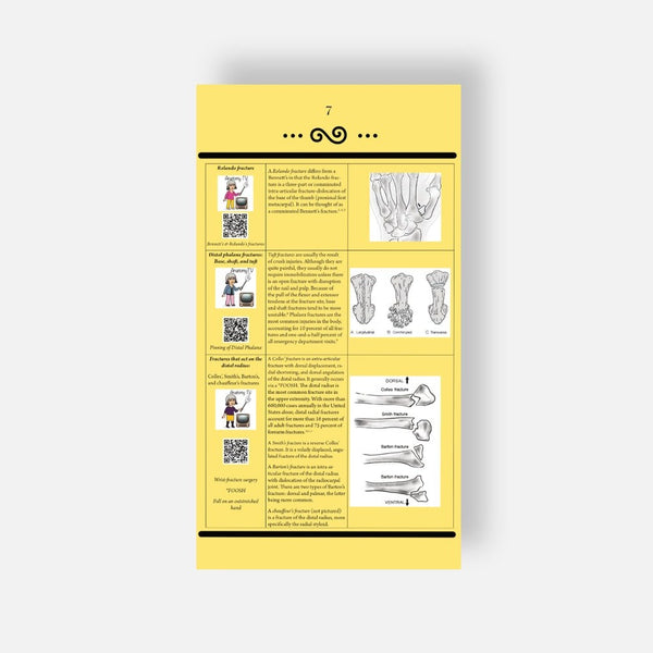 Illustrated Desktop Hand Book W/Pictorial Display