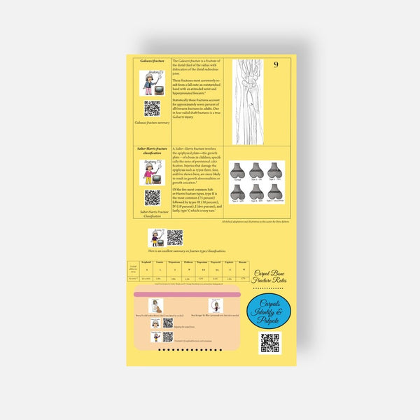 Illustrated Desktop Hand Book W/Pictorial Display