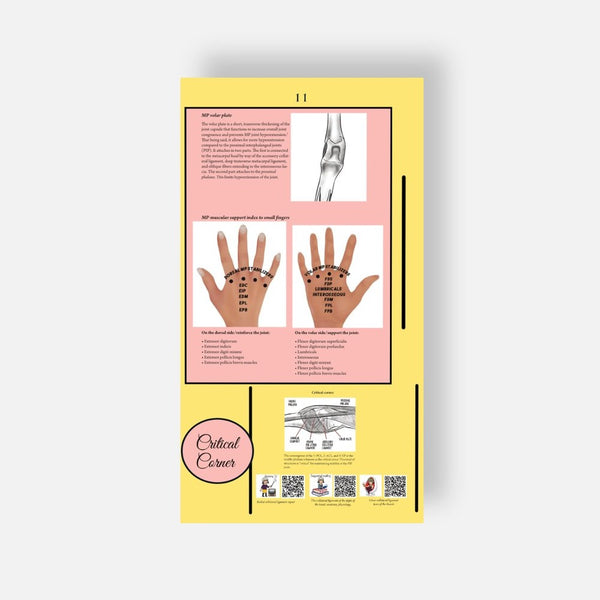 Illustrated Desktop Hand Book W/Pictorial Display