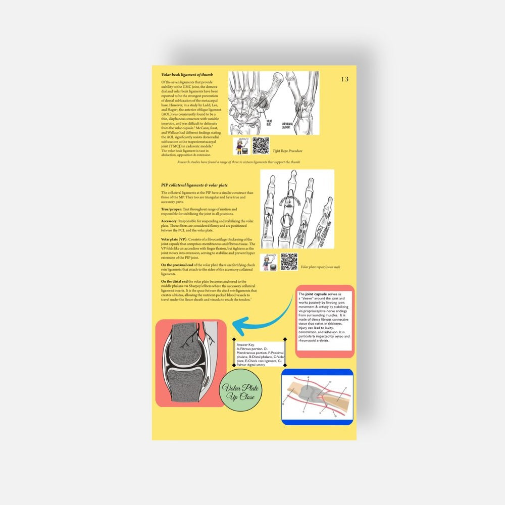 HAND THERAPY Education - Hand in Mind