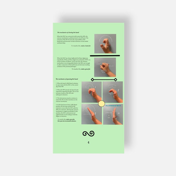 The Extensor Mechanism Booklet & pictorial display