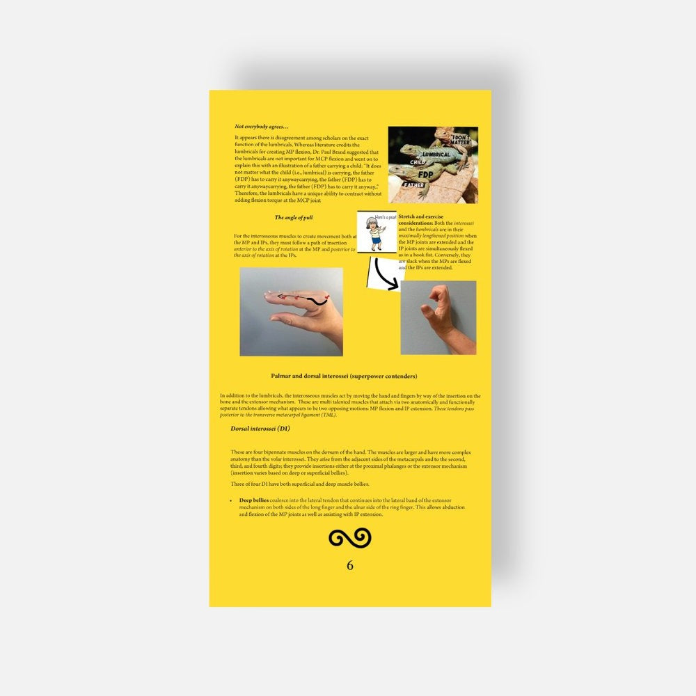 The Extensor Mechanism Booklet & pictorial display - Hand in Mind