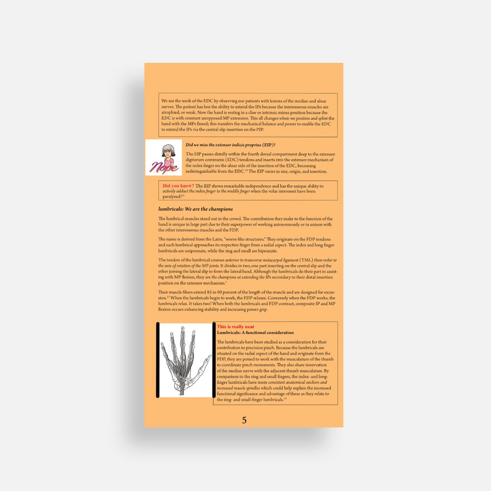 The Extensor Mechanism Booklet & pictorial display - Hand in Mind