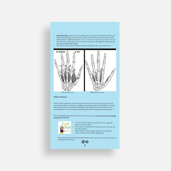 The Extensor Mechanism Booklet & pictorial display