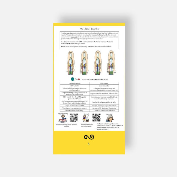 The Extensor Mechanism Booklet & pictorial display