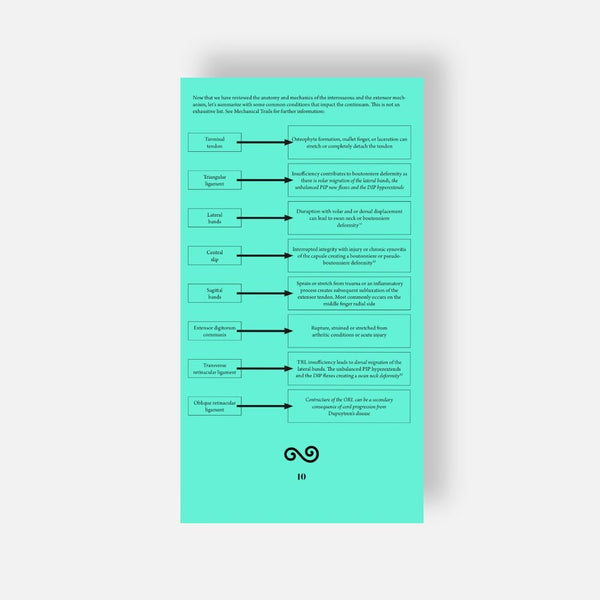 The Extensor Mechanism Booklet & pictorial display