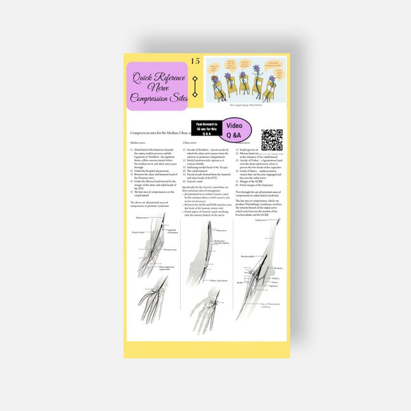 Illustrated Desktop Hand Book W/Pictorial Display