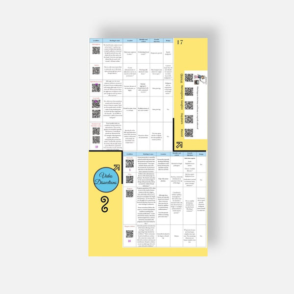 Illustrated Desktop Hand Book W/Pictorial Display