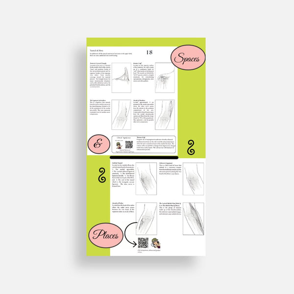Illustrated Desktop Hand Book W/Pictorial Display