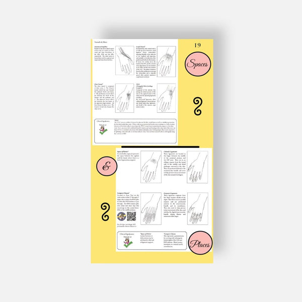 Illustrated Desktop Hand Book W/Pictorial Display