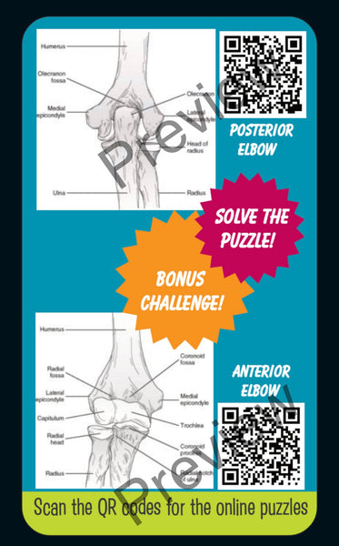 Anatomy Quest games and activities! Part of the everyday anatomy package, NOT FOR SEPARATE ORDER