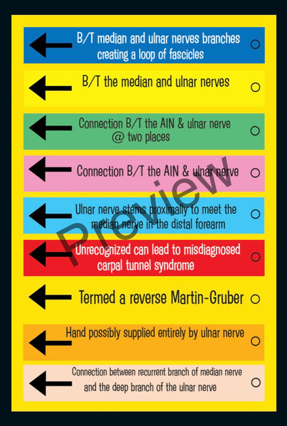 Anatomy Quest games and activities! Part of the everyday anatomy package, NOT FOR SEPARATE ORDER
