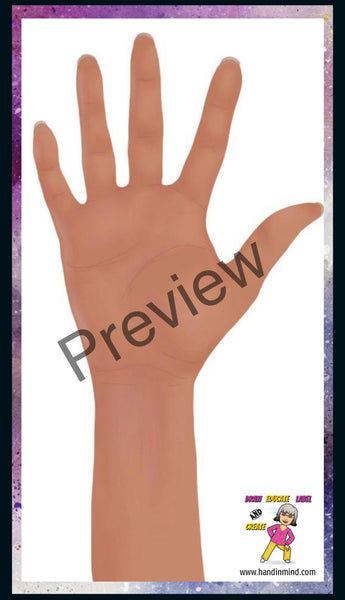 Anatomy Quest games and activities! Part of the everyday anatomy package, NOT FOR SEPARATE ORDER