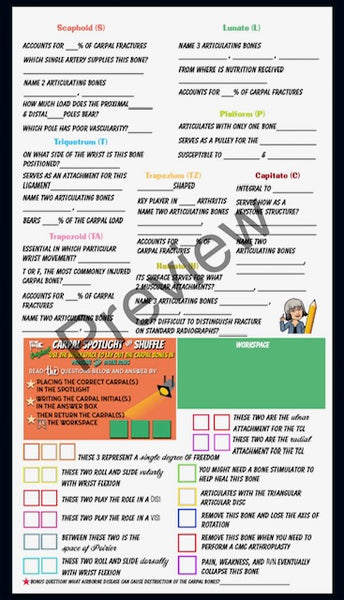 Anatomy Quest games and activities! Part of the everyday anatomy package, NOT FOR SEPARATE ORDER