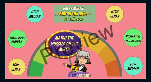 Anatomy Quest games and activities! Part of the everyday anatomy package, NOT FOR SEPARATE ORDER