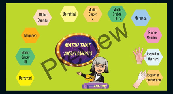 Anatomy Quest games and activities! Part of the everyday anatomy package, NOT FOR SEPARATE ORDER