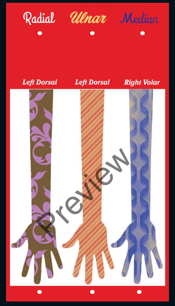 Anatomy Quest games and activities! Part of the everyday anatomy package, NOT FOR SEPARATE ORDER