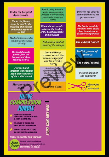 Anatomy Quest games and activities! Part of the everyday anatomy package, NOT FOR SEPARATE ORDER