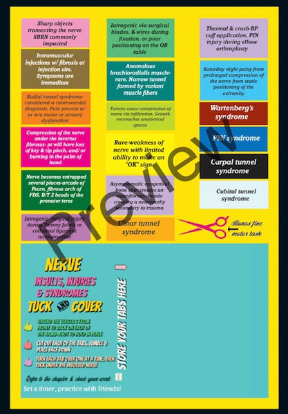 Anatomy Quest games and activities! Part of the everyday anatomy package, NOT FOR SEPARATE ORDER