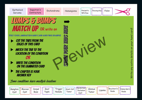 Anatomy Quest games and activities! Part of the everyday anatomy package, NOT FOR SEPARATE ORDER