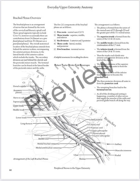 Everyday Anatomy 2nd Edition! 0.9 free CEUs! REGULAR NON-VENMO PRICING:SOLD OUT