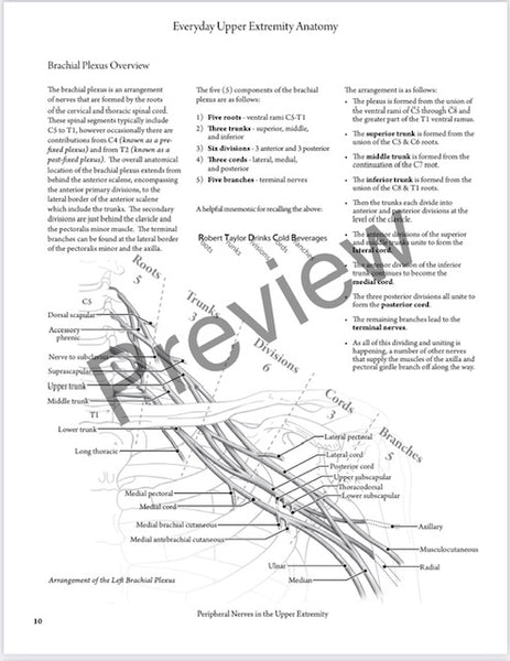 SOLD OUT BEST VALUE: Everyday Anatomy! 0.9 CEUs are included!  SOLD OUT