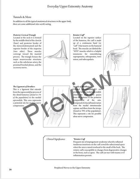 Everyday Anatomy 2nd Edition! 0.9 free CEUs! REGULAR NON-VENMO PRICING:SOLD OUT