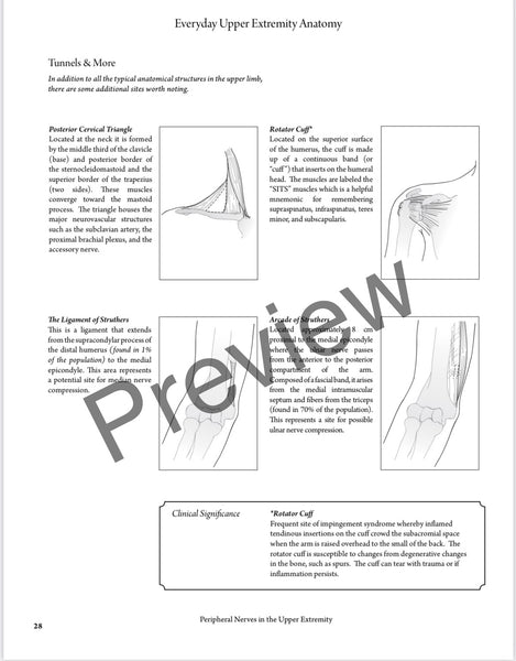 SOLD OUT BEST VALUE: Everyday Anatomy! 0.9 CEUs are included!  SOLD OUT