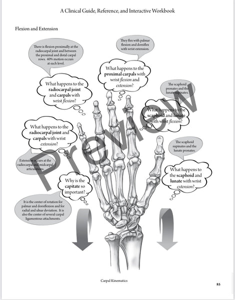 Everyday Anatomy 2nd Edition! 0.9 free CEUs! REGULAR NON-VENMO PRICING:SOLD OUT