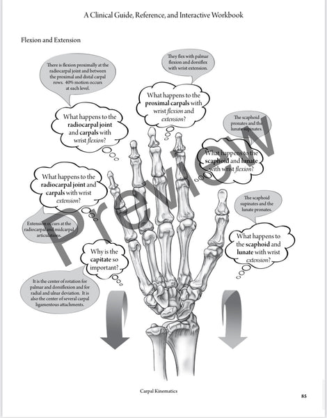 SOLD OUT BEST VALUE: Everyday Anatomy! 0.9 CEUs are included!  SOLD OUT