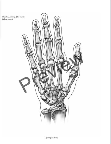 SOLD OUT BEST VALUE: Everyday Anatomy! 0.9 CEUs are included!  SOLD OUT