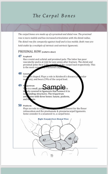 Anatomical  Hand  Reference & Illustrated Booklet For Hand  Therapists