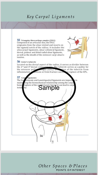 Anatomical  Hand  Reference & Illustrated Booklet For Hand  Therapists