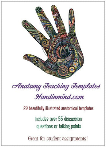 Therapy teaching and learning resource: Anatomy Club Teaching Templates